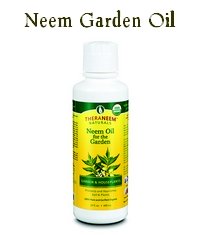 Neem Oil Insecticide - Does It Work?